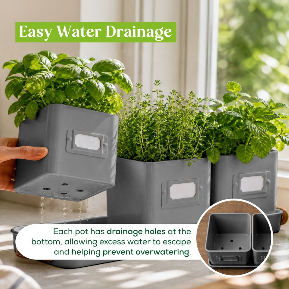 image 1 of Set of 6 Grey Indoor Herb Pots with Tray