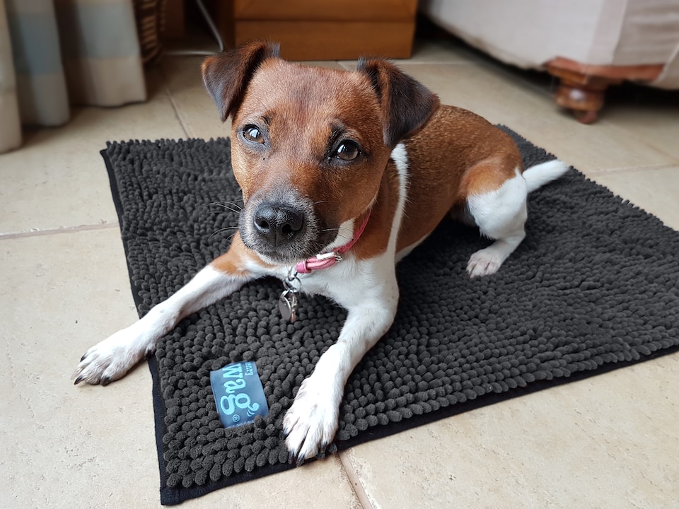image 1 of Henry Wag Microfibre Pet Noodle Mat, Ideal As A Bed, Floor Mat Or Towel, Size X-Large | Grey | XL | 1