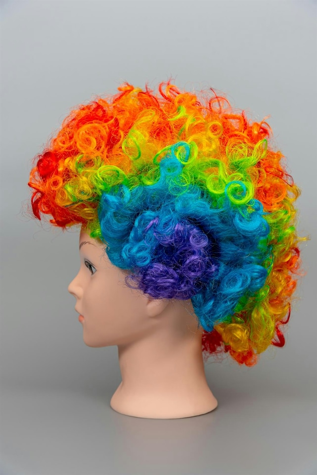 image 1 of Afro Wigs Curly Bouncy Hair Fancy Dress Party Costume Disco Accessory Unisex 60s 70S 80s Theme | Multi