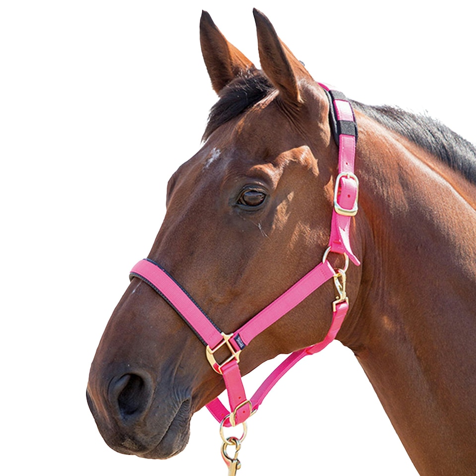 Shires Topaz Nylon Horse Headcollar - Pink - Cob