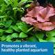 image 5 of API CO2 Booster Freshwater Aquarium Plant Treatment 473 ml Bottle | Multi