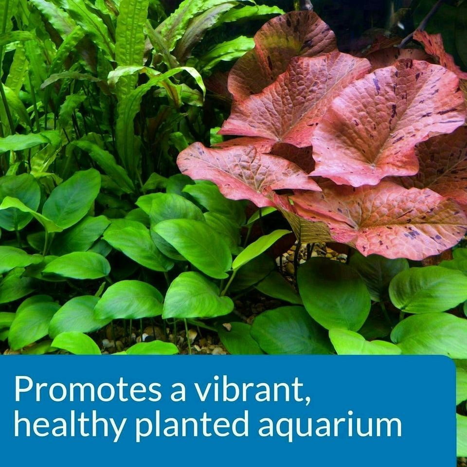 image 1 of API CO2 Booster Freshwater Aquarium Plant Treatment 473 ml Bottle | Multi