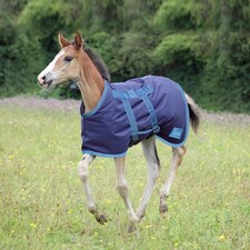 Shires Highlander Foal Rug Blue | Size: 3ft 6
Colour: Navy/Turquoise