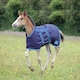 image 1 of Shires Highlander Foal Rug Blue | Size: 3ft 6
Colour: Navy/Turquoise