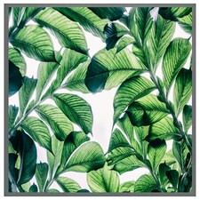 Tropical palm (Picutre Frame) Grey | S
