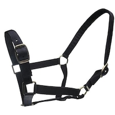 Roma Horse Headcollar And Leadrope - Black - Cob