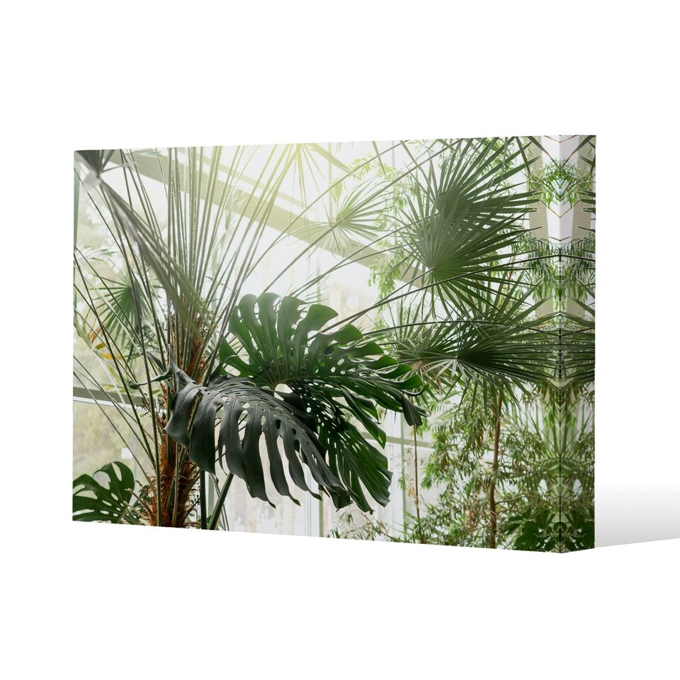image 1 of Green plants in botanical garde (Canvas Print) 77 x 51 x 4cm