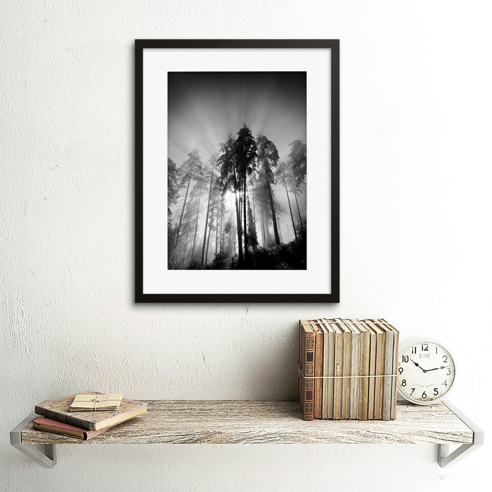 image 1 of Trees Light Fog Black White Living Room 12x16" Framed Wall Art Print