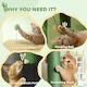 image 8 of PawHut Cat Tower 225-255cm Adjustable with Sisal Posts Hammocks, Green