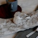 image 5 of Nicola Spring Plush Long Hot Water Bottle & Cover Set - Dark Grey
