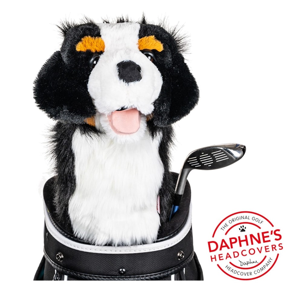 image 1 of Daphne's Animal Golf Headcovers - Burmese Mountain Dog
