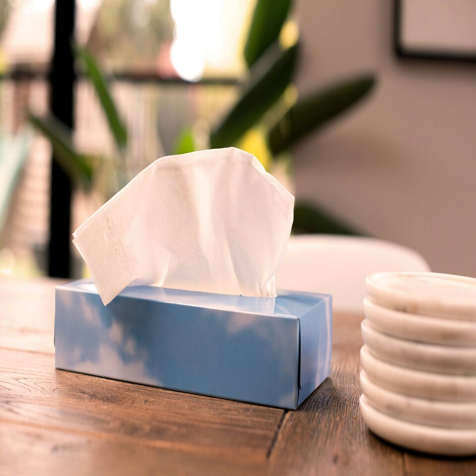 image 1 of Soft White Facial Tissues, Box of 100 - 1 Pack