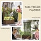 image 4 of Outsunny Wood Planter with Trellis for Climbing Plants Vines Planter Box Brown