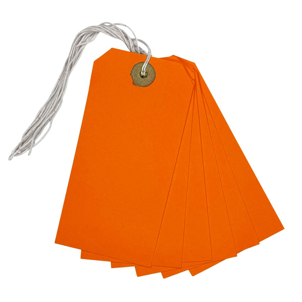 image 1 of Box of 1000 Orange Strung Tags 120mm x 60mm
