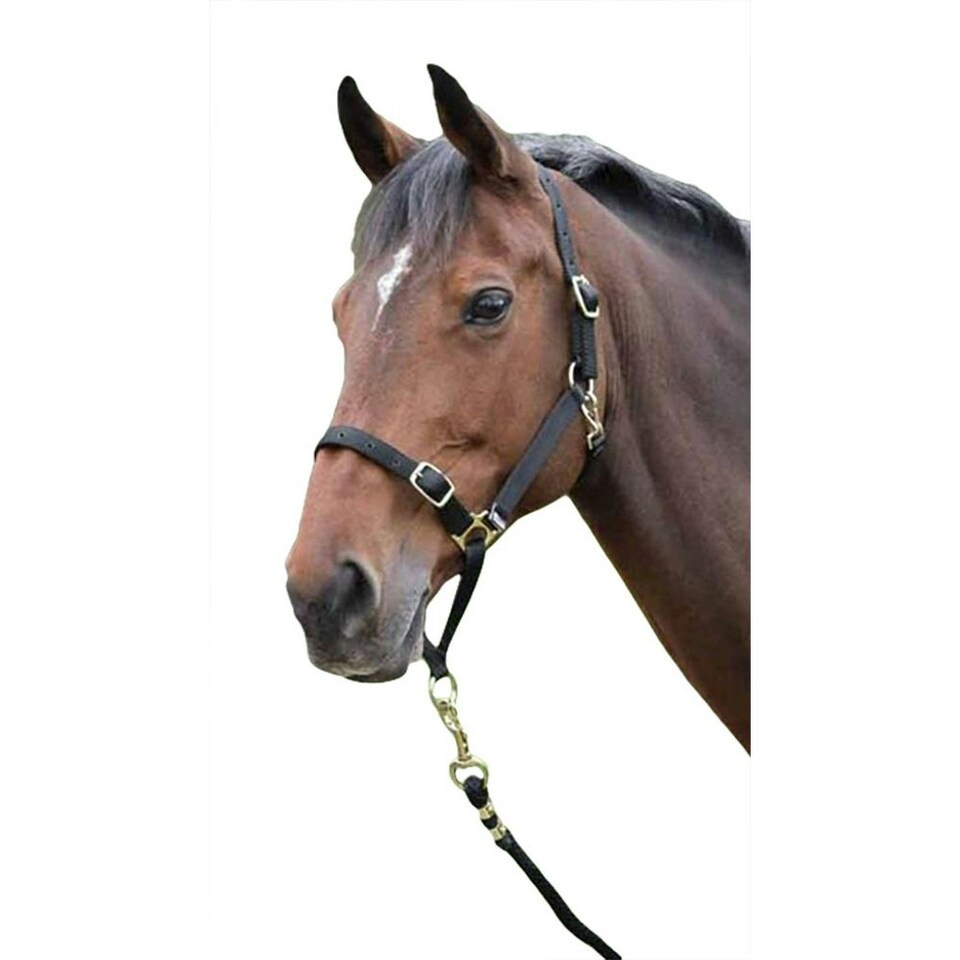 Shires Horse Headcollar - Black - Full