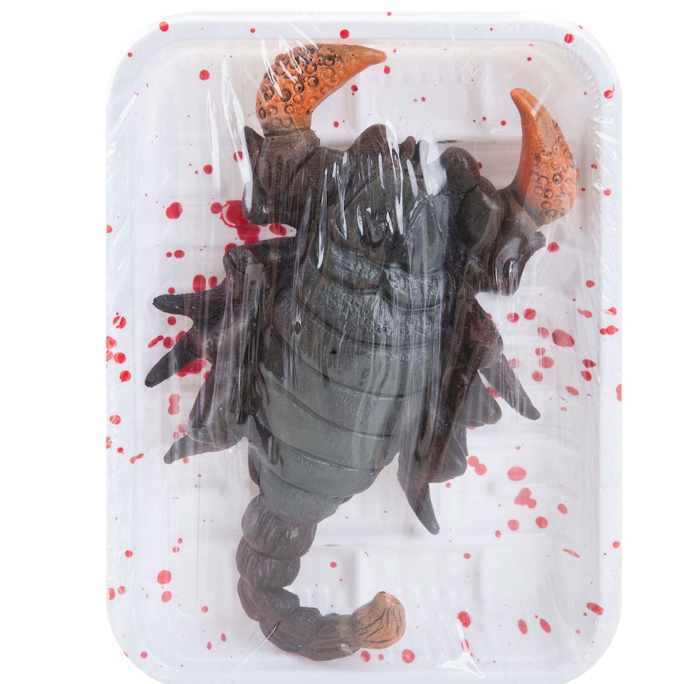 image 1 of PMS Halloween Scorpion Insect Decoration - 18.5 x 13.5 cm