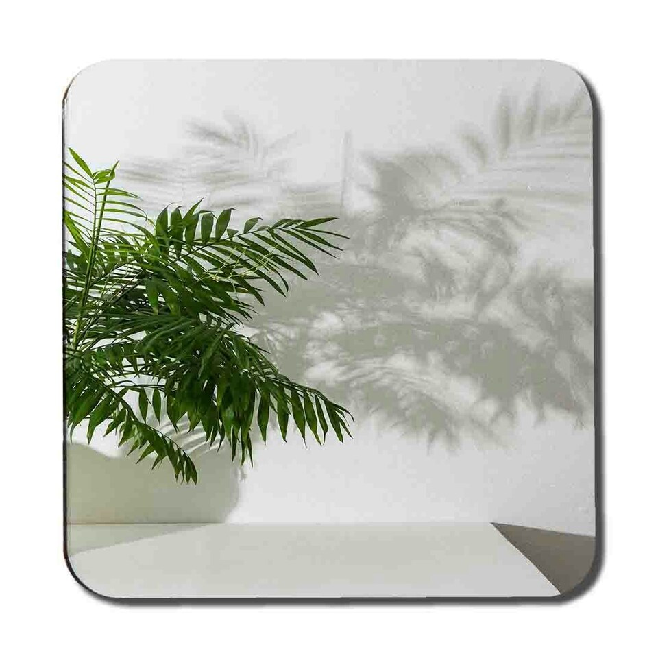 image 1 of Chamaedorea Coaster Set