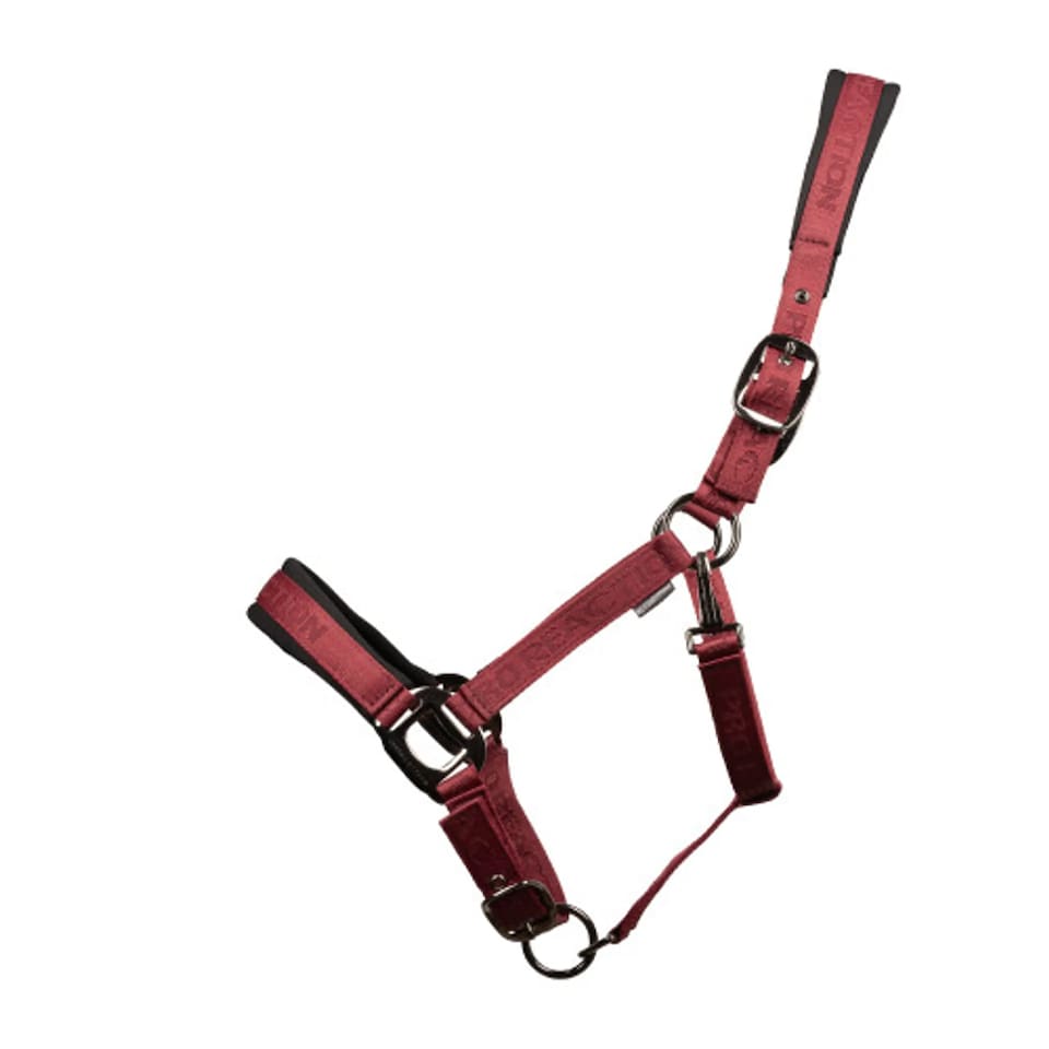 Hy ProReaction Transform Horse Headcollar | Red | Burgundy | One Size | 1
