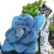 image 5 of Pack of 1 Solar Snail Garden Ornament Grey | One Size