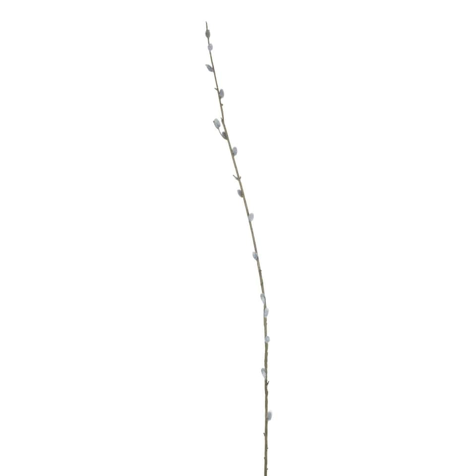 image 1 of Hill Interiors Faux Pussy Willow Branch - Brown/Green - 103cm