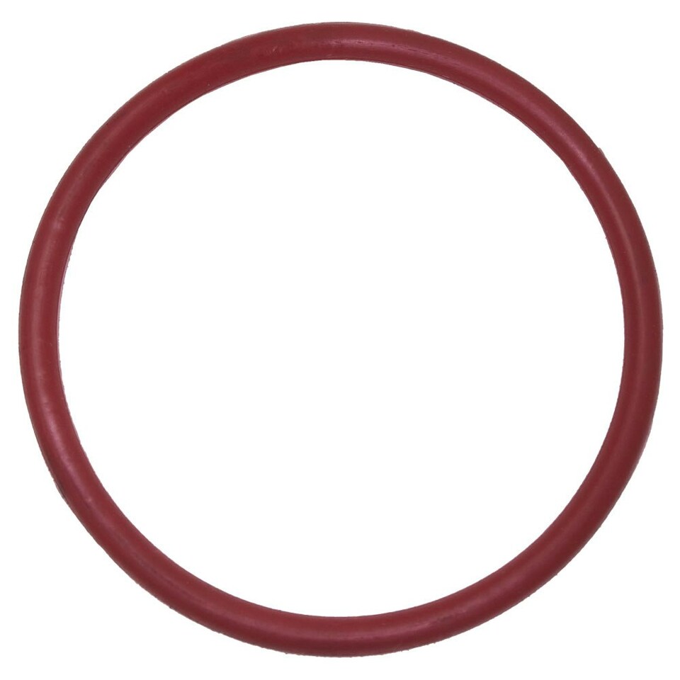 Endurance Oring for 1.5 Connector for Endurance Sand Filters