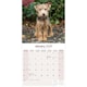image 3 of Lakeland Terrier 2026 Calendar | Square Wall Calendar | Dog Breed Gift | Plastic Free Packaging | by Avonside Publishing
