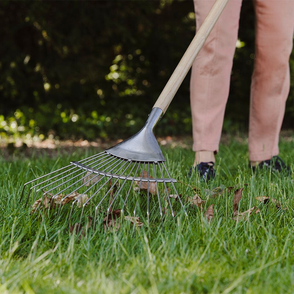 image 1 of Kent & Stowe Garden Life Lawn Rake