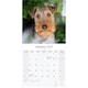 image 3 of Welsh Terrier 2026 Calendar | Square Wall Calendar | Dog Breed Gift | Plastic Free Packaging | by Avonside Publishing