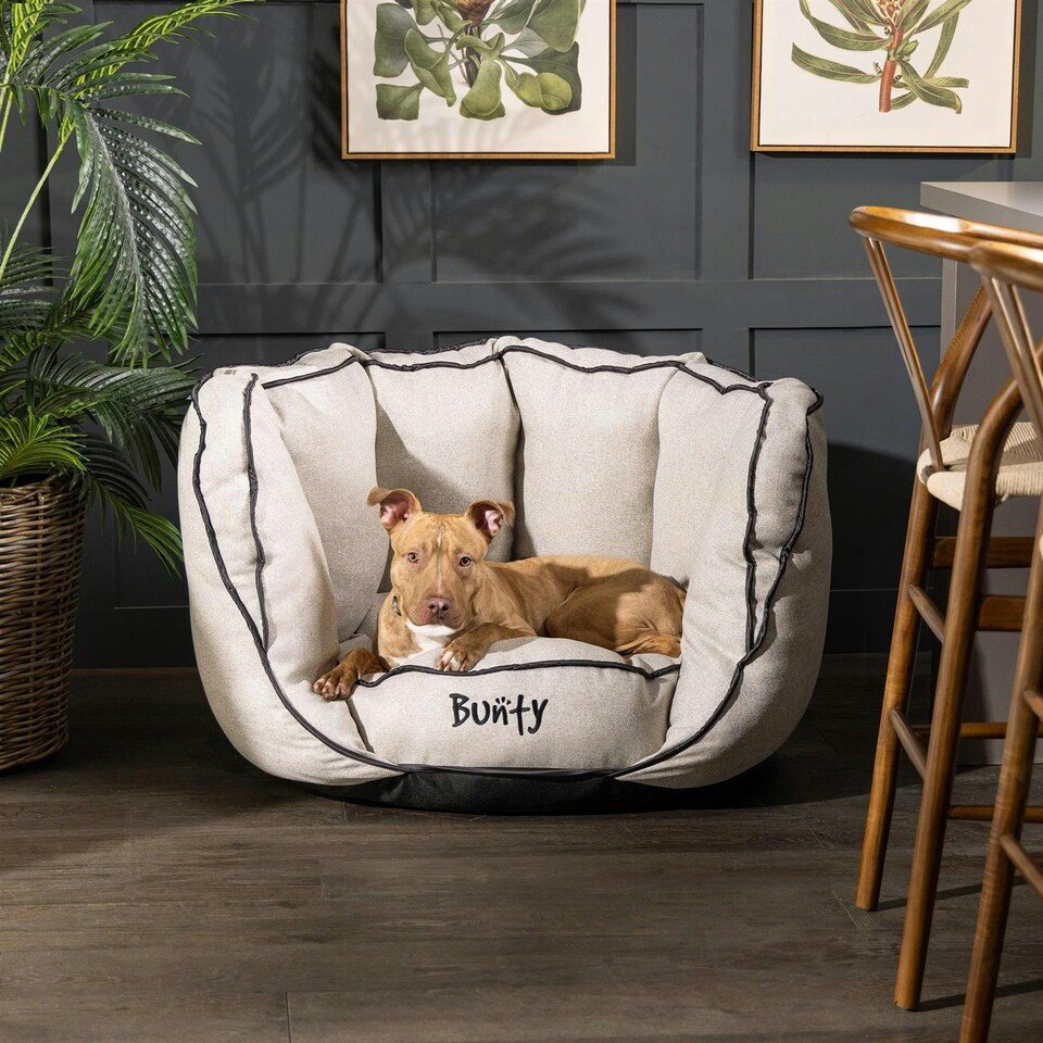 image 1 of Bunty Oyster Bed Cream | XL