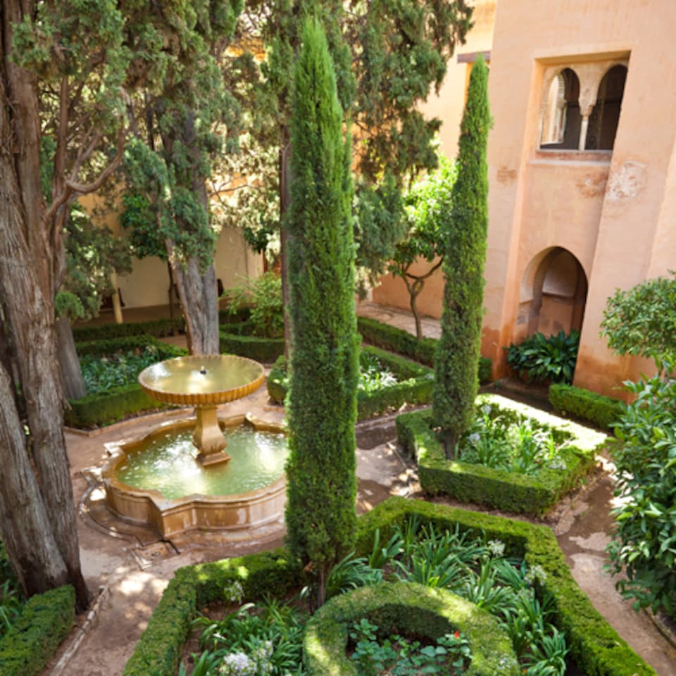image 1 of YouGarden Italian Cypress Trees, Set of Two Established Plants in 20cm Pots, Already 90-120cm Tall