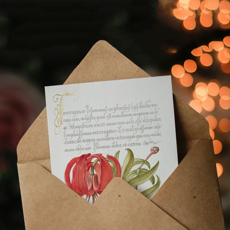 image 1 of Model Book of Calligraphy Art Card Turks Cap Lily Fig and Beetle