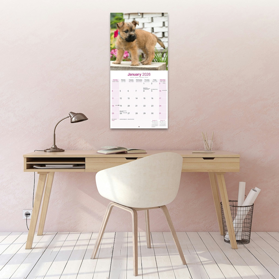 image 1 of Cairn Terrier 2026 Calendar | Square Wall Calendar | Dog Breed Gift | Plastic Free Packaging | by Avonside Publishing