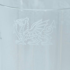 Animo Glass Highball Glass Etched Tumbler Welsh Dragon