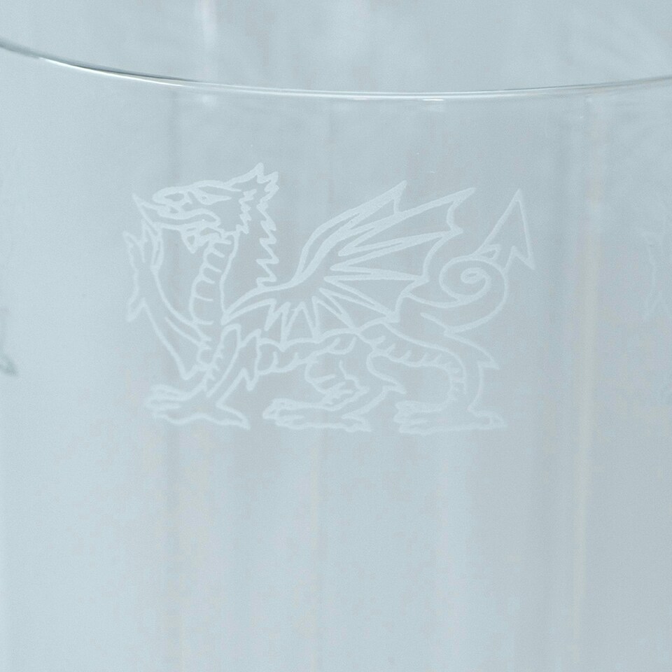 Animo Glass Highball Glass Etched Tumbler Welsh Dragon