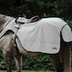 image 5 of Weatherbeeta Reflective Wrap Around Horse Exercise Sheet | Silver | Silver/Black | S | 1
