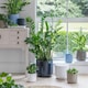 image 3 of Lisbon Planter Blue
