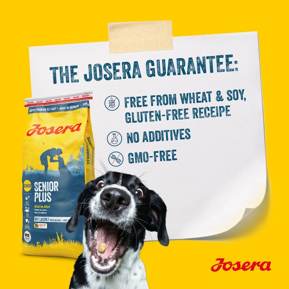image 1 of Josera Senior Salmon & Rice complete dog food | All sizes | Lower protein & fat | Gluten-free | Immune support | Cardiac support | Salmon Oil Omega 3 | 12.5kg