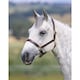 image 2 of Blenheim Ragley Leather Horse Headcollar - Havana - X Full