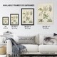 image 3 of Native New Zealand Wildflowers Artwork Featon Wall Art Poster Print 12X16"