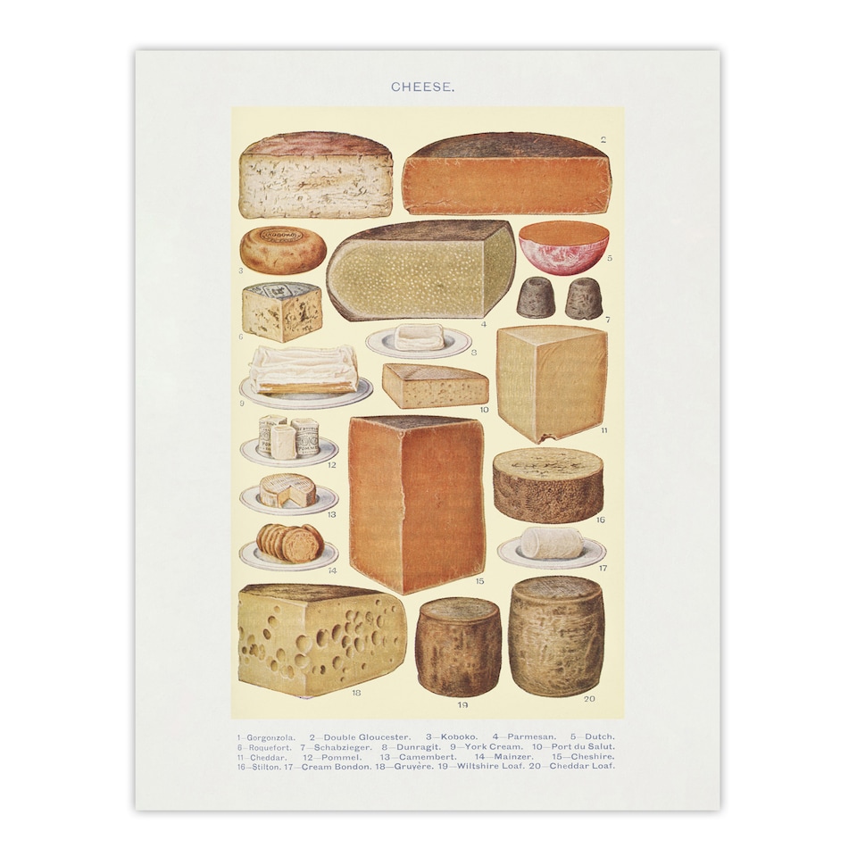 image 1 of Different Types of Cheese Mrs Beeton Wall Art Poster Print 12X16"