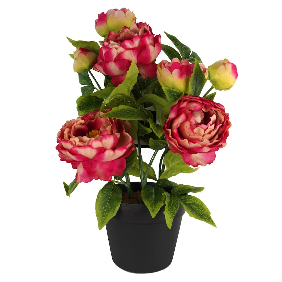 image 1 of 52cm Artificial Peony Plant Pink