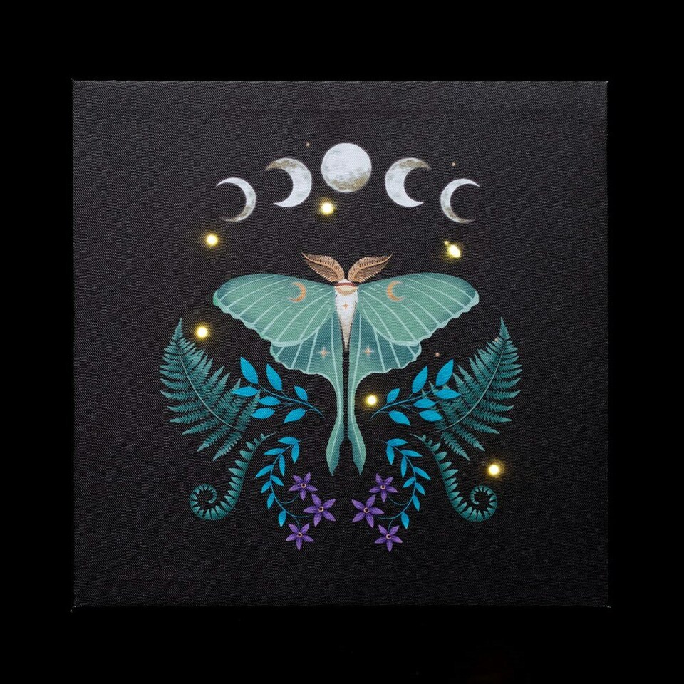 image 1 of Luna Moth Light Up Canvas