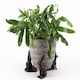 image 2 of Drove Of Hares Plant Pot Feet - Set of 3 - Moongazing, Sitting and Vigilant Hares Grey