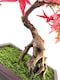 image 4 of Artificial Bonsai Tree Red Maple Bonsai 50cm Leaf Design Trees Realistic Plant Botanik | Red | One Size
