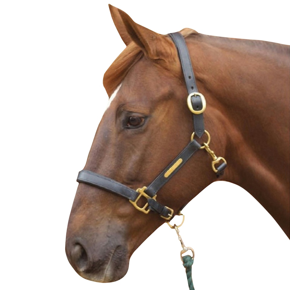 image 1 of Hy Leather Head Collar - Black - Full