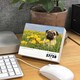 image 6 of Pugs Desk Calendar 2026, Desk Calendars, Day To View, Dogs, Gift