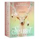 image 1 of Colette Baron-Reid The Spirit Animal Oracle Cards - Multicoloured - One Size