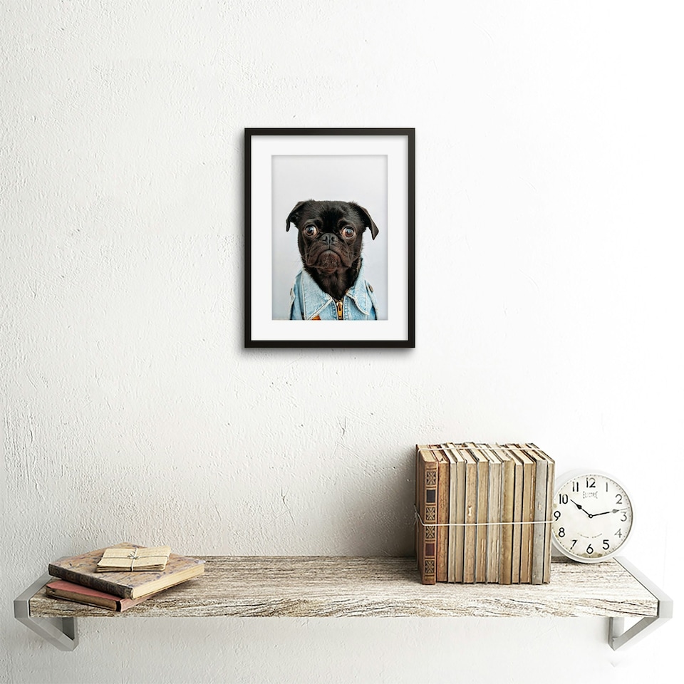 image 1 of Deluvio CUte Pug Puppy Dog Denim Jacket 9x7" Black Framed Wall Art Print