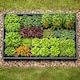 image 10 of GardenSkill Garden Raised Vegetable Bed 2.5x2.5x0.5m H - Modular Crop Flower Planter Frame - Ultra Deep 20 Inch Grow Box Trough