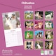 image 3 of Chihuahua 2026 Calendar | Square Wall Calendar | Dog Breed Gift | Plastic Free Packaging | by Avonside Publishing